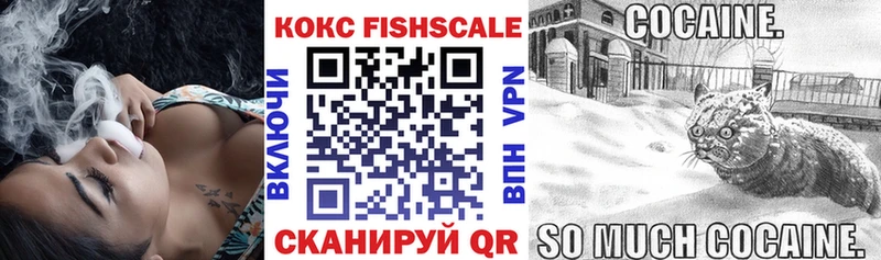 закладка  Димитровград  COCAIN Fish Scale 