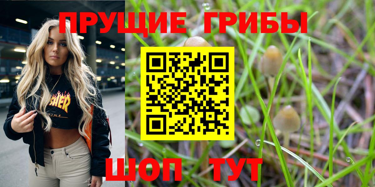 Димитровград  Галлюциногенные грибы мухоморы  наркотики  Вход с VPN  Галлюциногенные грибы прущие грибы 