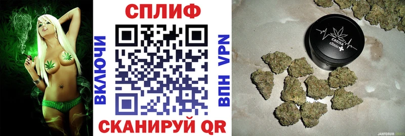 Бошки марихуана Bruce Banner  Димитровград 